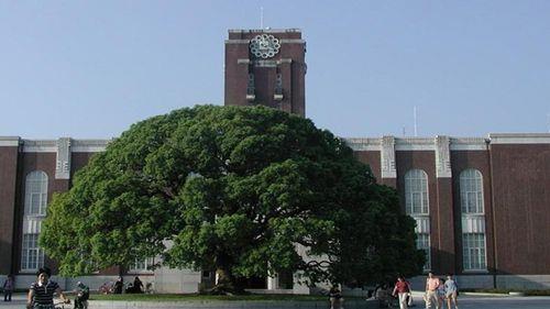 京都大学后来变成了什么大学