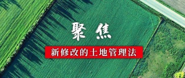 土地法关于农村宅基地的规定