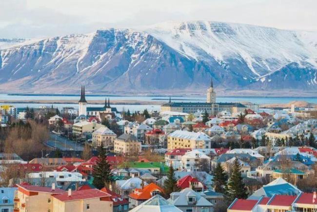 冰岛为什么不养狗