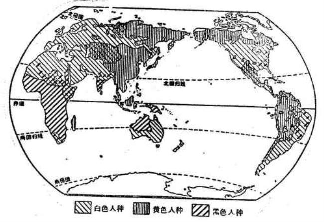 全球白人人口