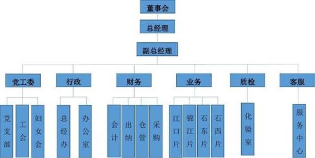 公司的组织结构怎么填