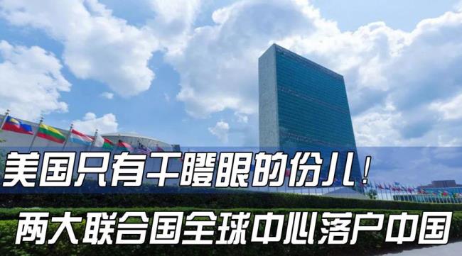 联合国落户城市排名