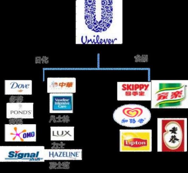 企业多品牌和单一品牌的优势和差别