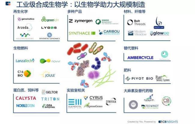 世界合成生物学大学排名