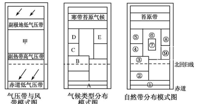 亚欧大陆的自然带分布