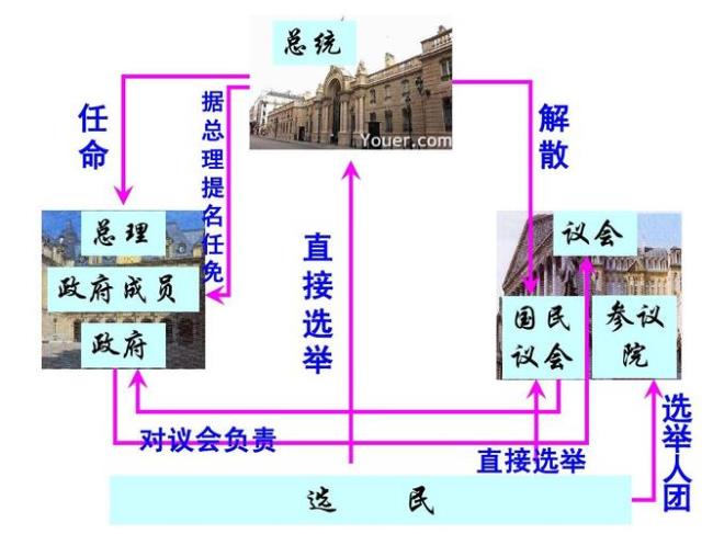 法国确立了什么样的政权体制