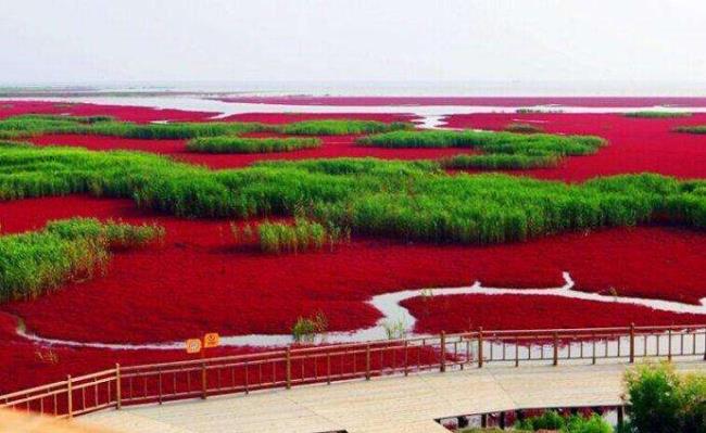 东北海边旅游哪里好又便宜