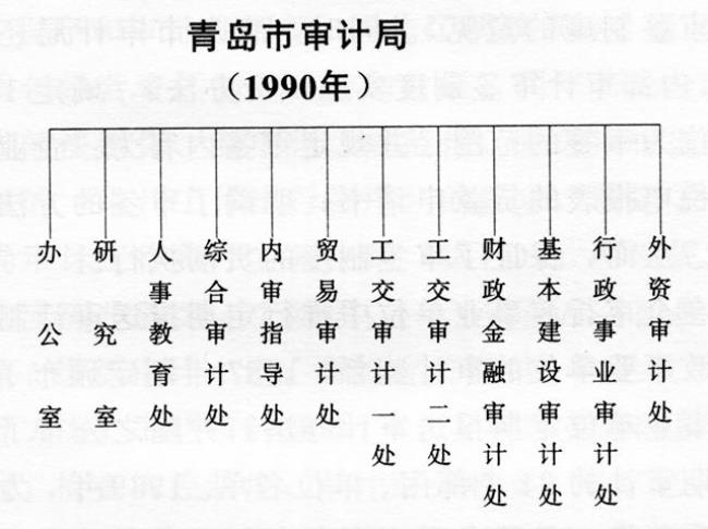 会计机构是审计主体吗