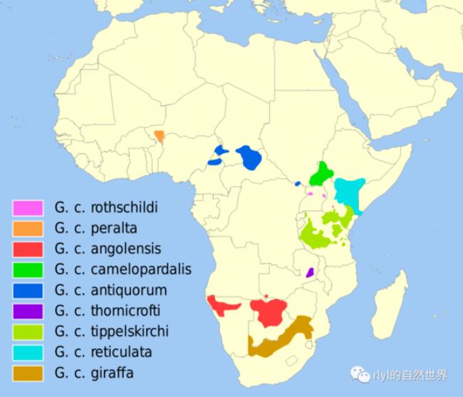 赞比亚地理位置及分布如何