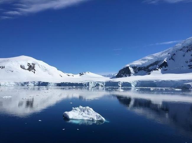冰川主要分布在南极还是北极