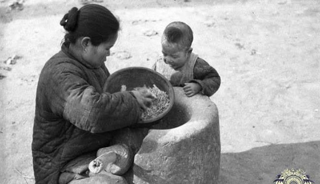 1942年河南的真实故事