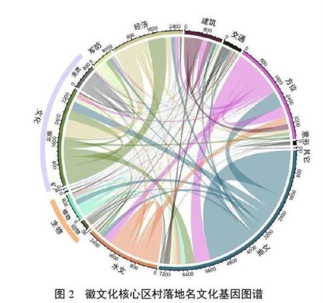 中特文化特征