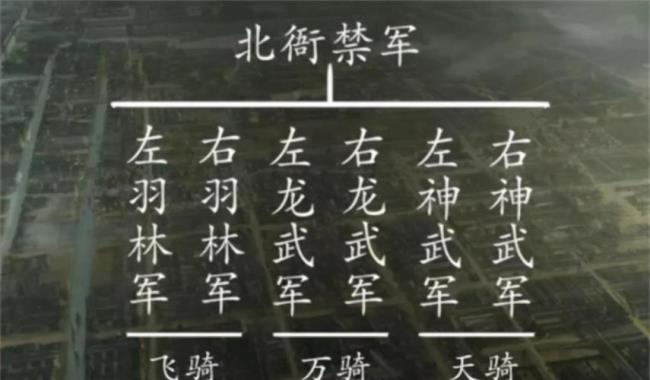 唐代禁军将领的官职