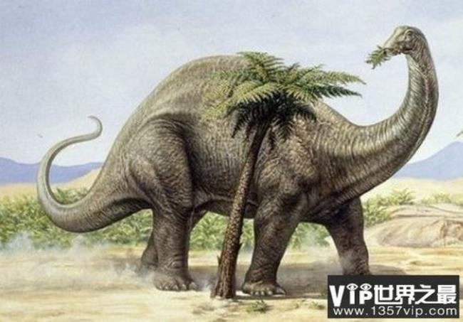 恐龙世界最大的海洋龙前十名