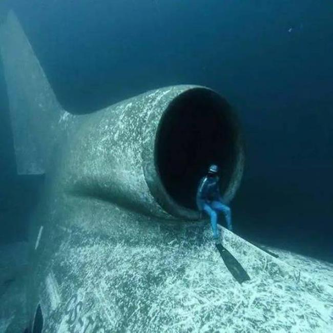 看深海是恐惧还是释然