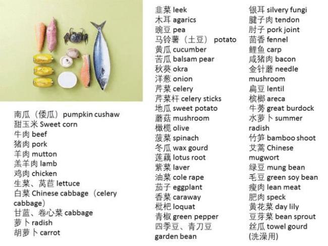中国的食物英文