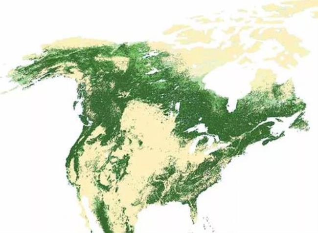 世界林业分布