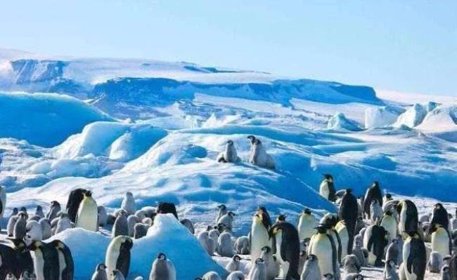 南极有风极之称的称是什么意思
