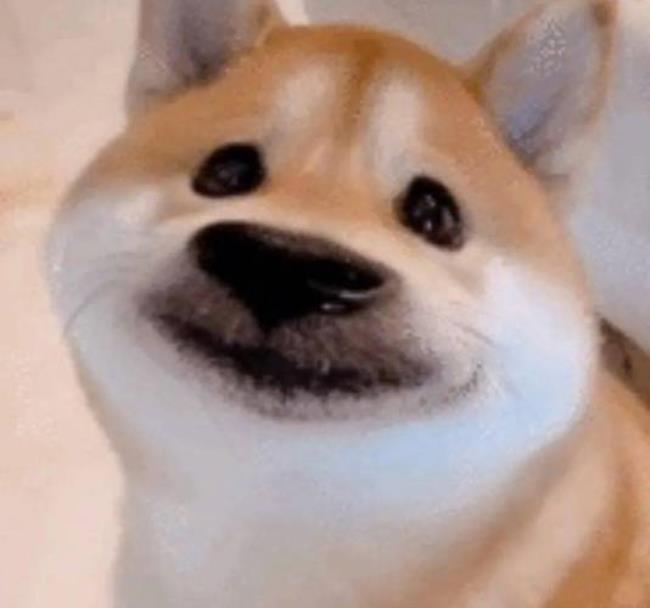 微信的狗脸表情什么意思