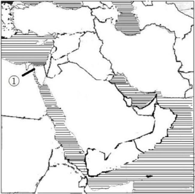 中东人口分布特点及原因