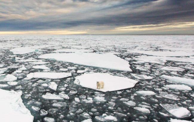 世界上最大的北极