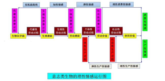 主体与主观之间是什么关系