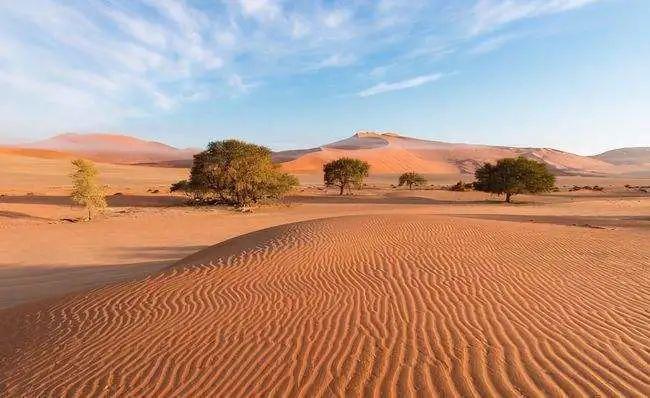 撒哈拉沙漠的盆地