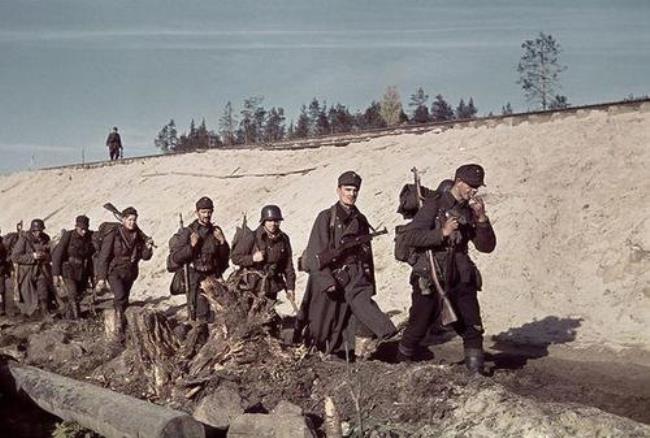 二战时芬兰是哪个阵营