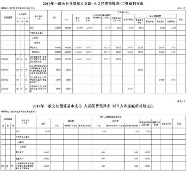 负责编制部门预算的是什么