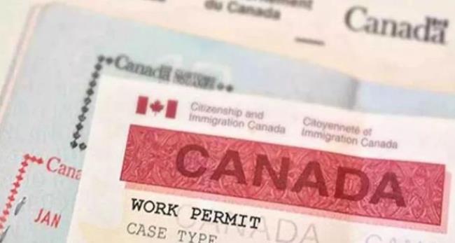 加拿大对华签证要多久