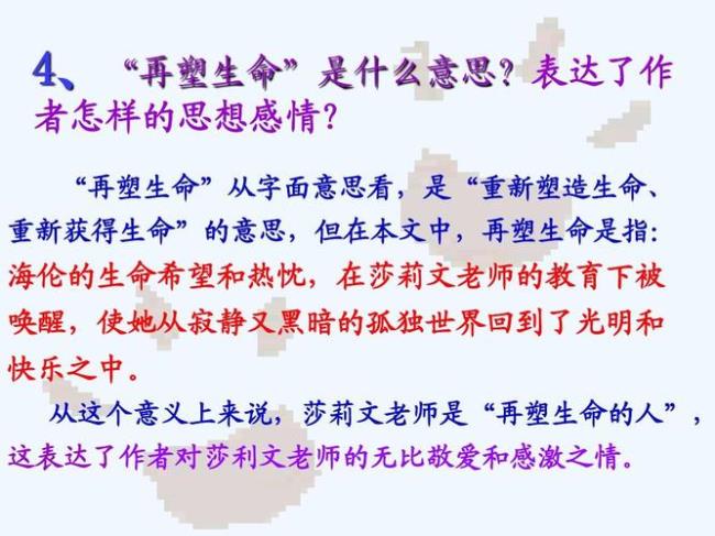 赏析莎莉文老师一百字