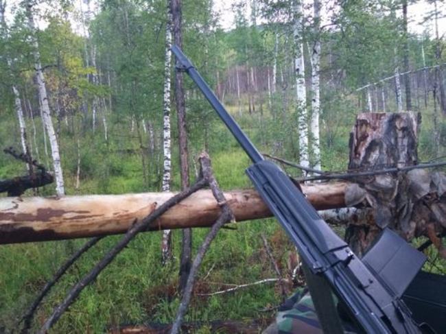 俄罗斯的哪个部分是狩猎带