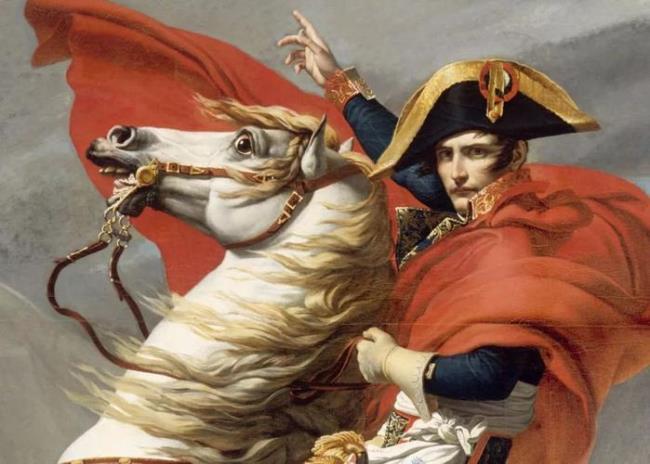 拿破仑血统是什么