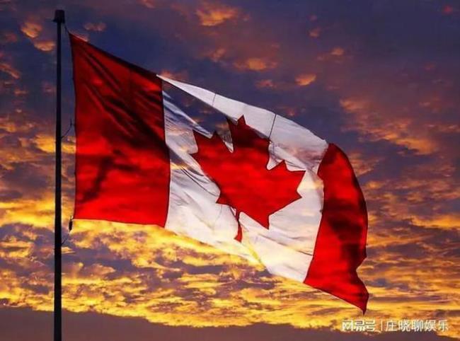 加入加拿大国籍和永居哪个更好
