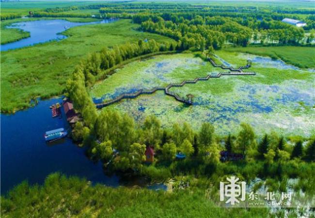 世界上面积最大的平原湿地