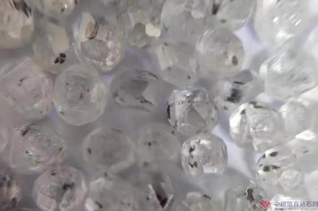 中国人工培育钻石最大多大