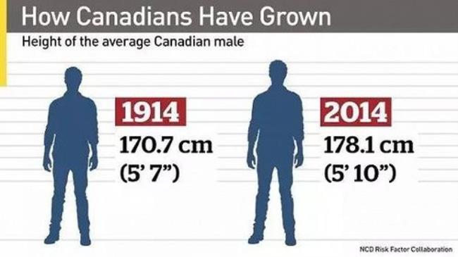 世界哪个国家男人人均身高最高