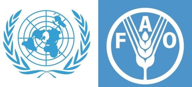 联合国是哪个国家组织的