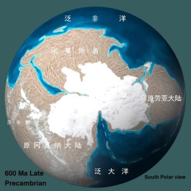南半球哪个国家最靠近南极洲