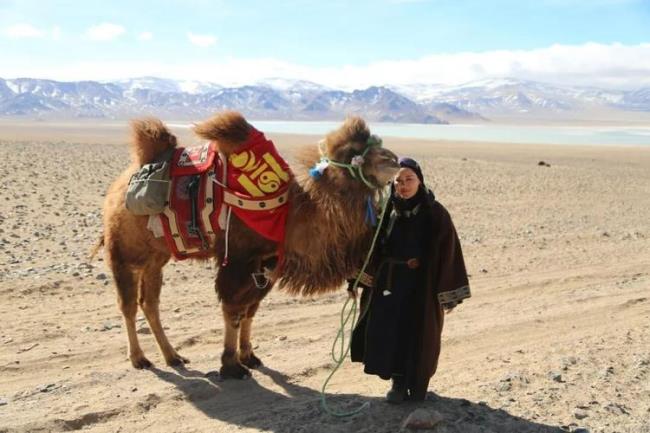 骆驼国是指哪个国家