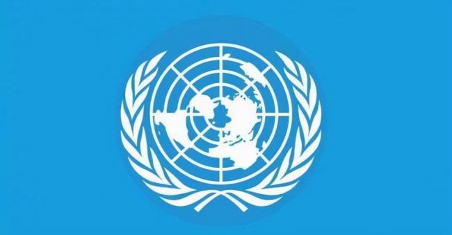 联合国标志是啥意思