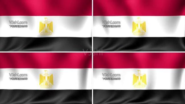 埃及的国旗是什么样的
