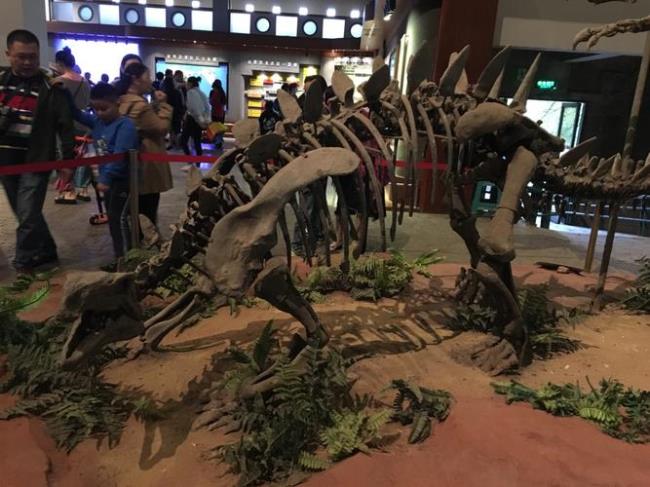 世界三大恐龙博物馆是哪三个