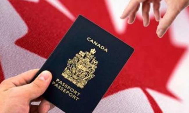 加拿大旅游签证是不是4年一次