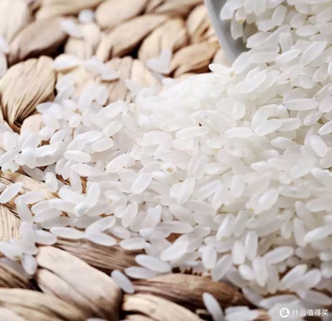 哪种稻谷的米饭软而粘还好吃