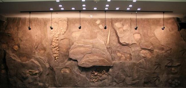 中国地质博物馆多久逛完