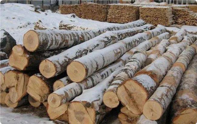 俄罗斯限制原木直接出口的原因
