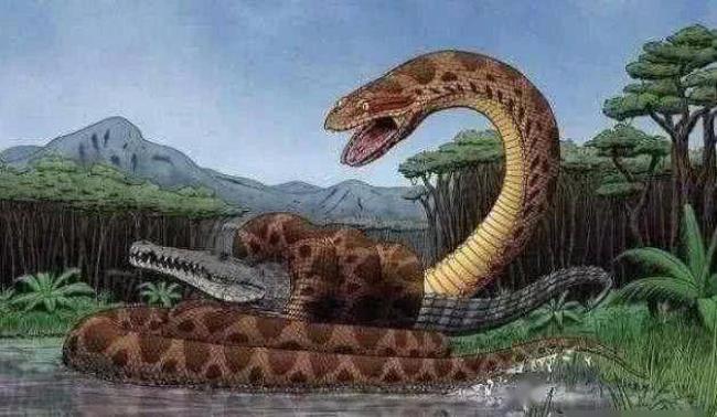 世界最大蟒蛇有多长…