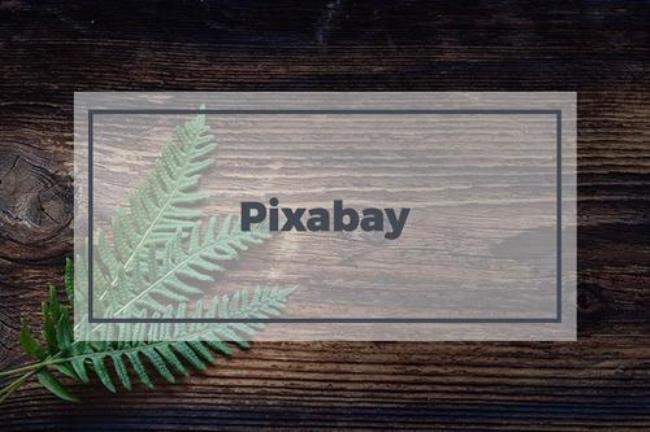 手机pixabay怎么转中文