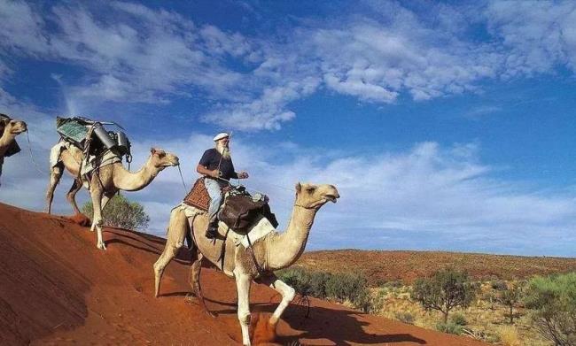 俄罗斯有骆驼和沙漠吗